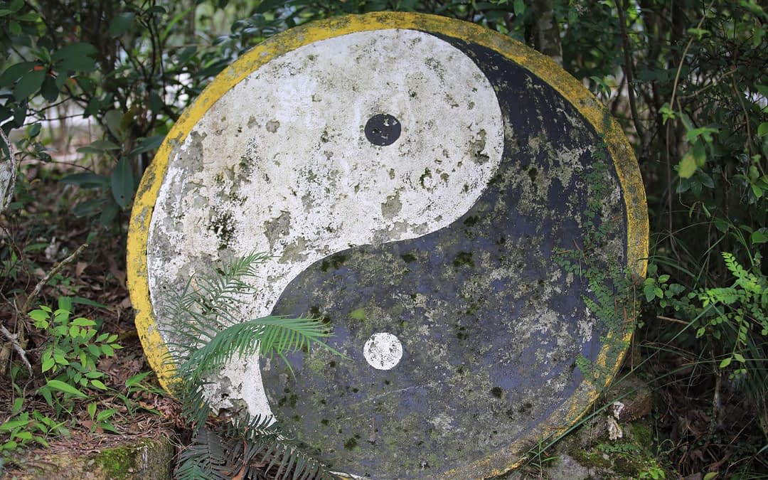 Yin und Yang in der Arbeitswelt